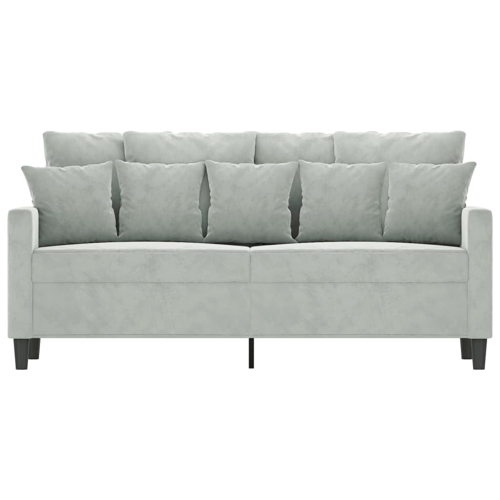 Light Grey Velvet 2-Seater Sofa with Metal Frame R105