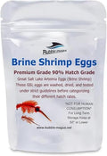 Brine Shrimp Eggs 0.5 oz Q557691