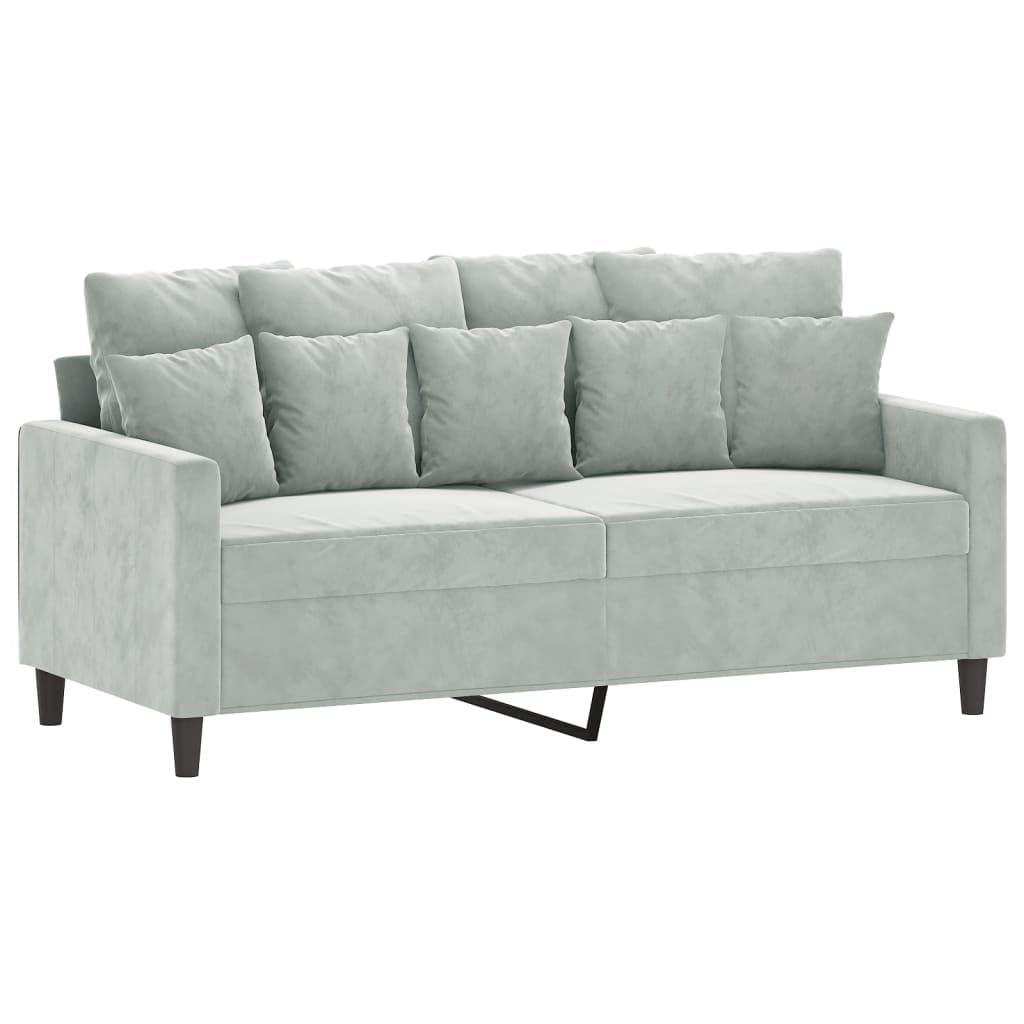 Light Grey Velvet 2-Seater Sofa with Metal Frame R105