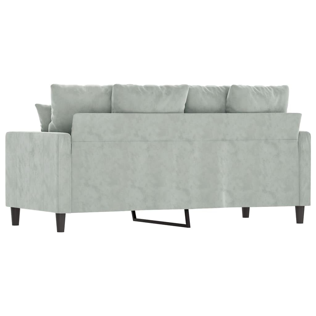 Light Grey Velvet 2-Seater Sofa with Metal Frame R105