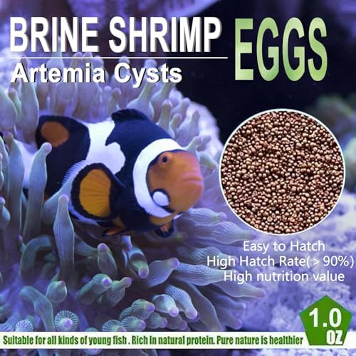 Brine Shrimp Eggs 0.5 oz Q557691