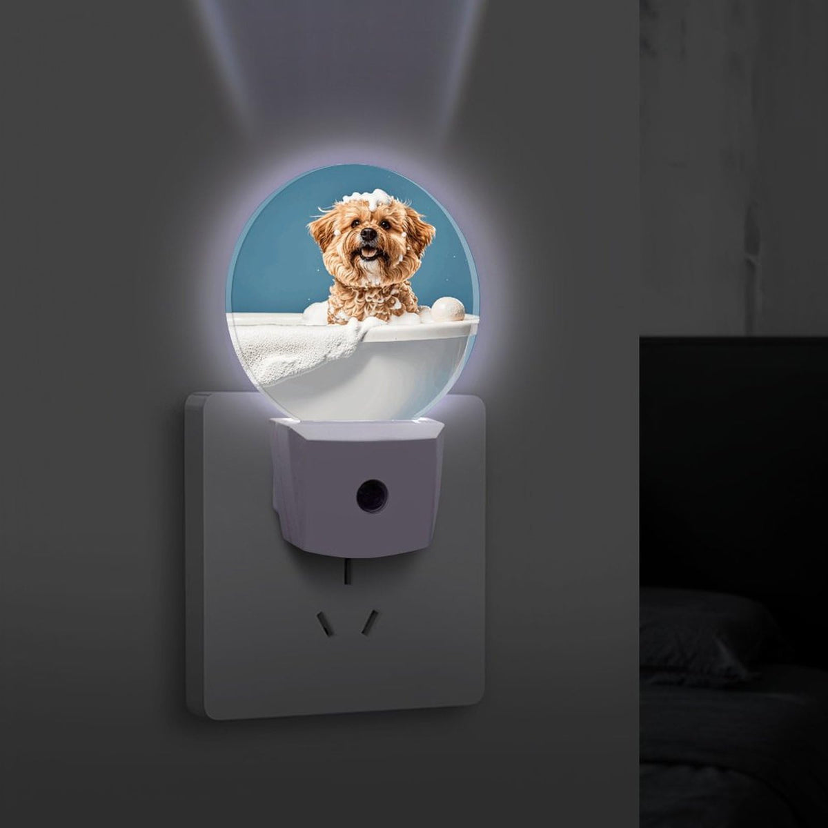 Plug-in Wall Night Light B6902