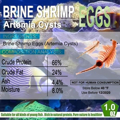 Brine Shrimp Eggs 0.5 oz Q557691