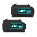 40V Lithium-Ion Battery Pack 2-Pack L534