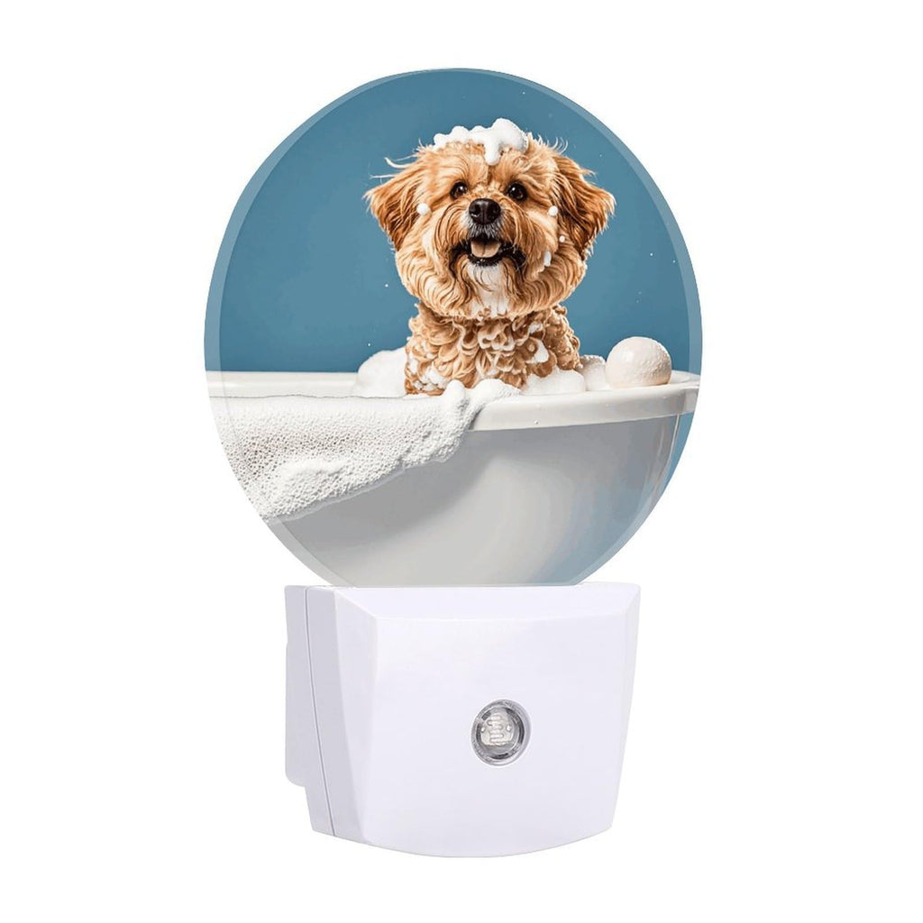 Plug-in Wall Night Light B6902