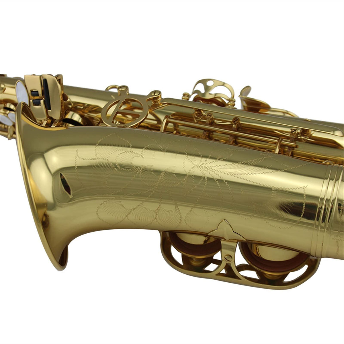 Gold Lacquer Alto Saxophone Set C374