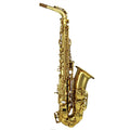 Gold Lacquer Alto Saxophone Set C374