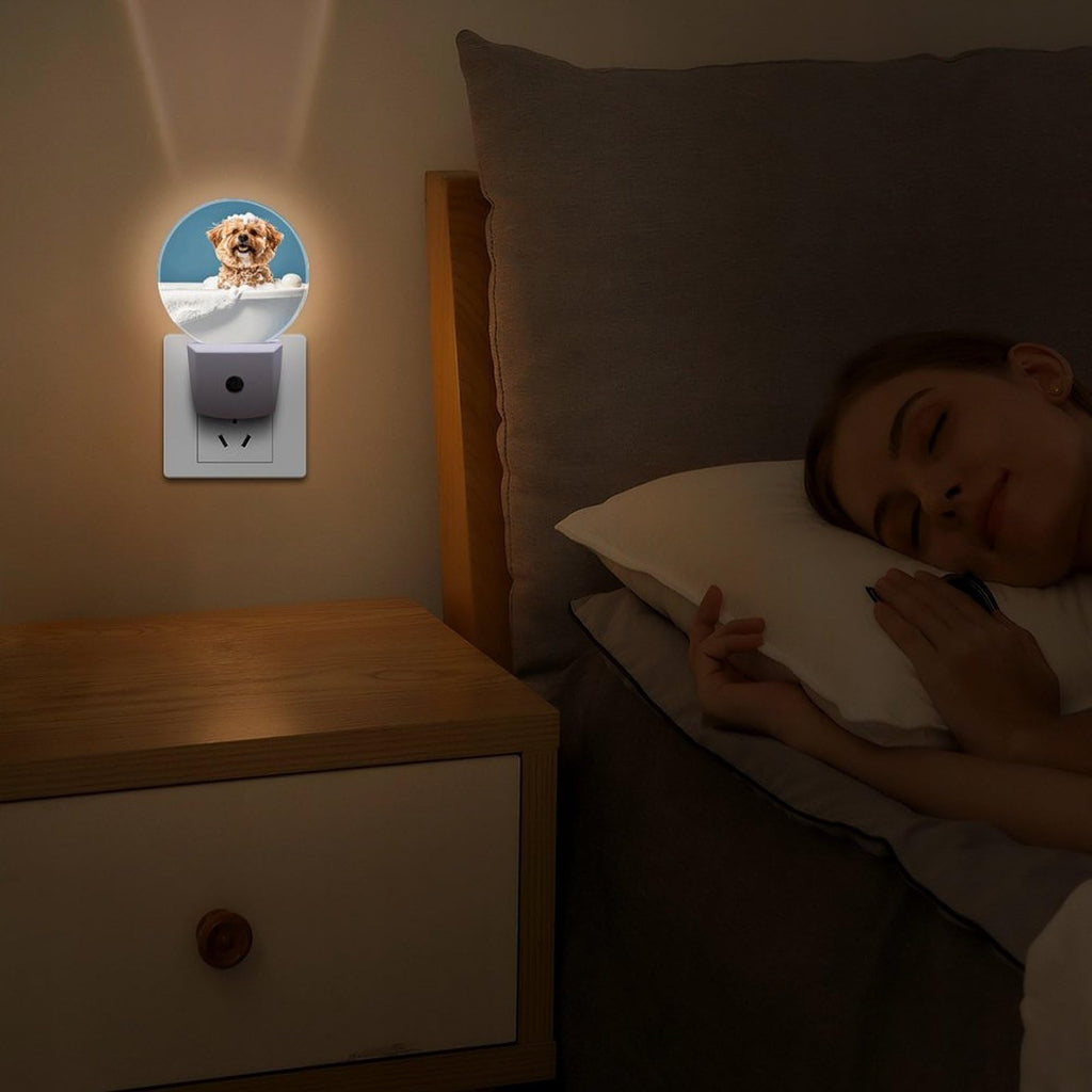Plug-in Wall Night Light B6902