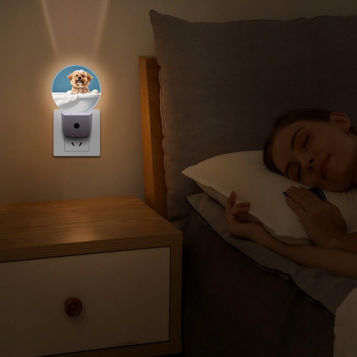 Plug-in Wall Night Light B6902