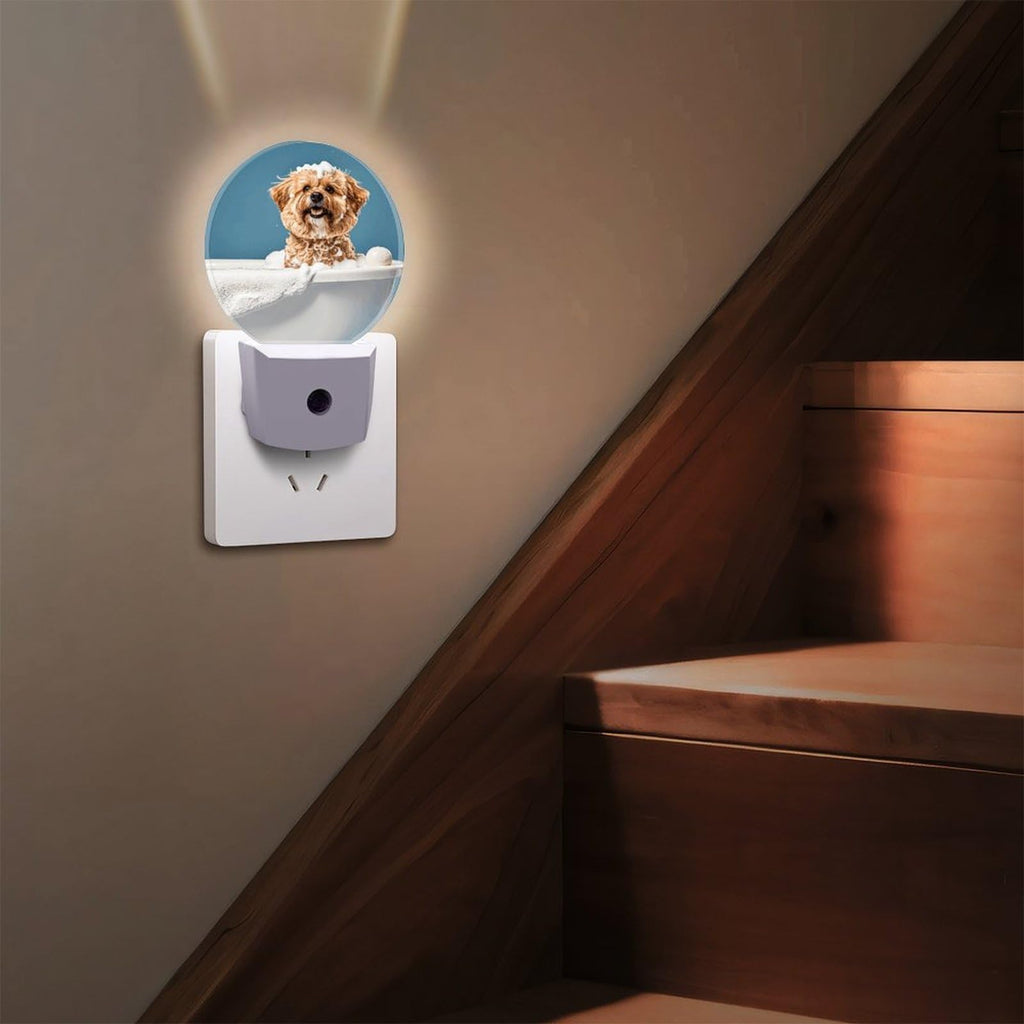 Plug-in Wall Night Light B6902