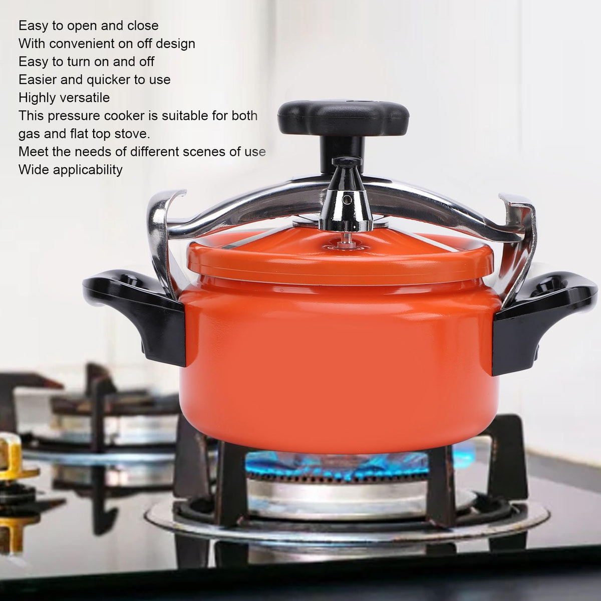 Aluminum Alloy Pressure Cooker with Double Bottom 2L B3343