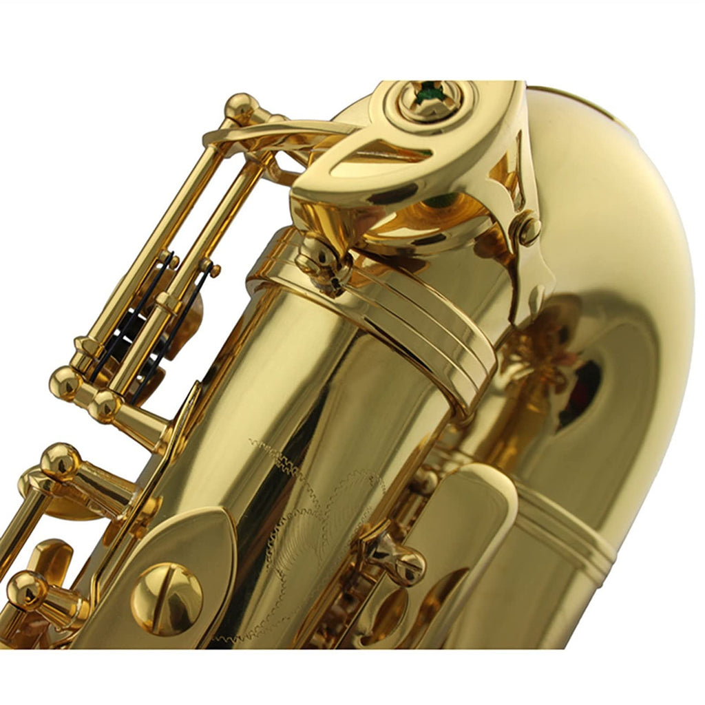 Gold Lacquer Alto Saxophone Set C374