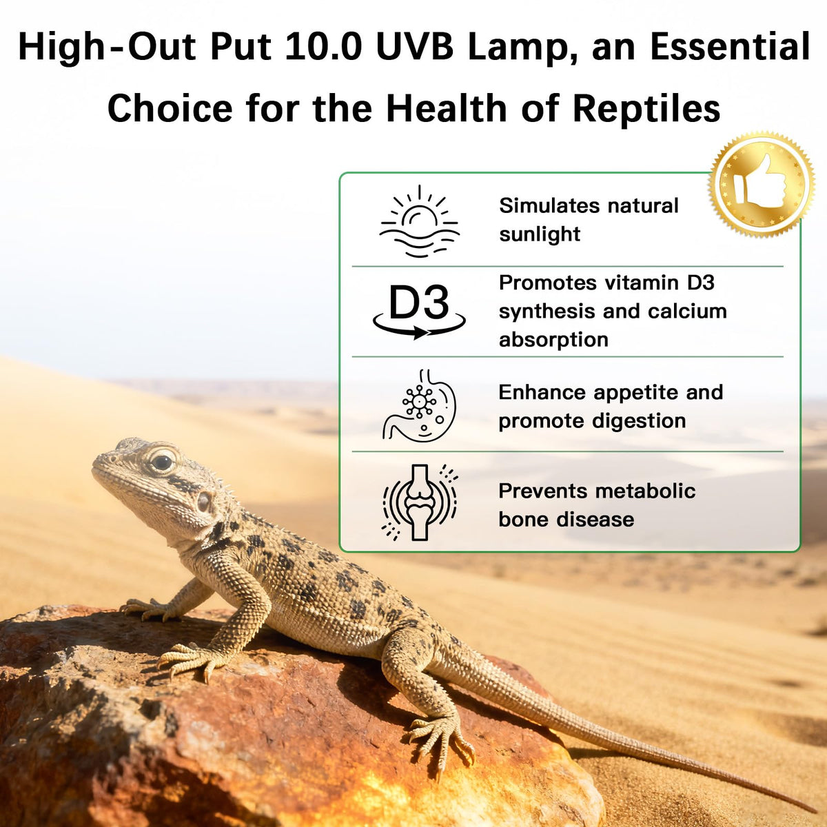 8W UVA UVB Reptile Light Fixture Combo Kit S29750