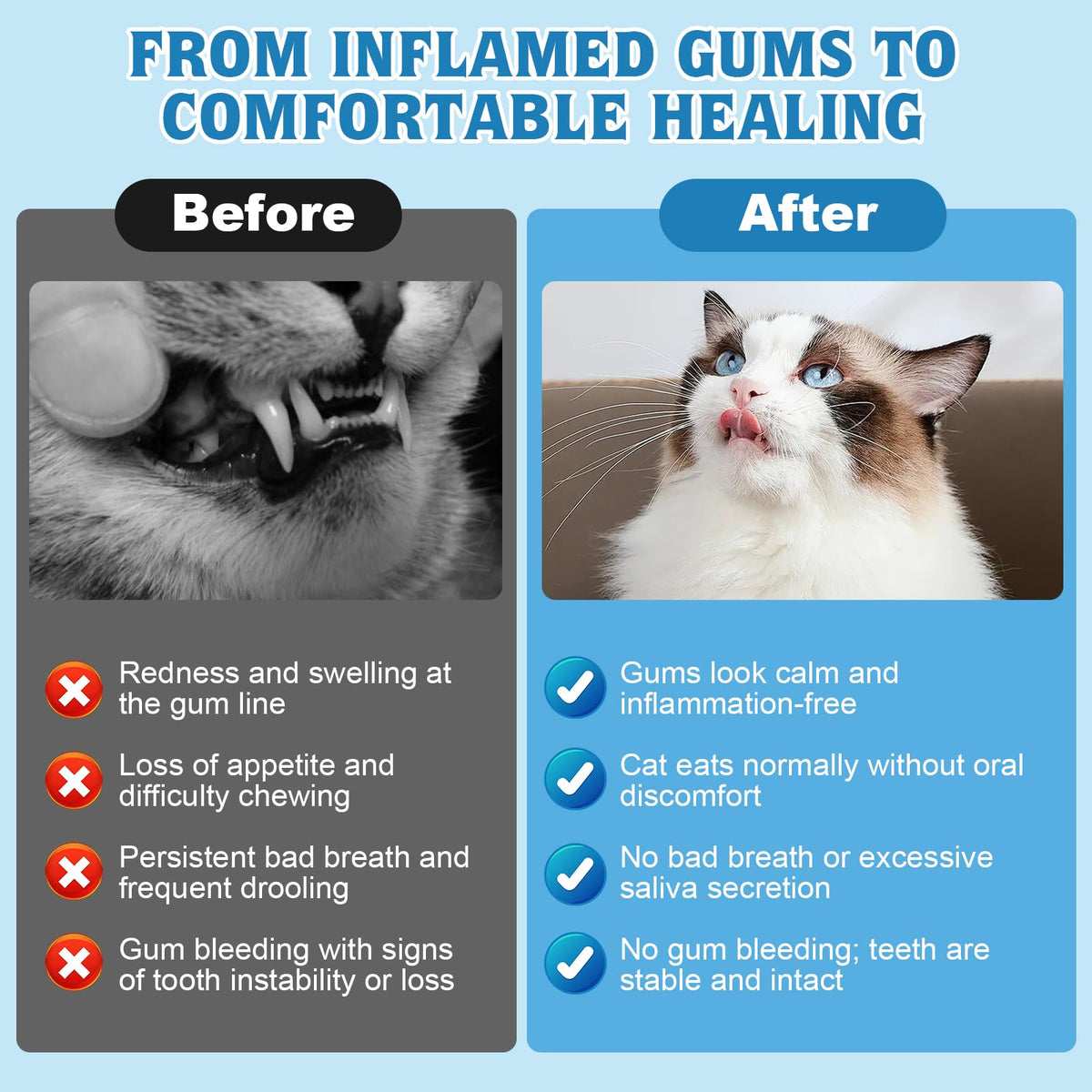 Natural Plant-Based Cat Oral Care Z3482