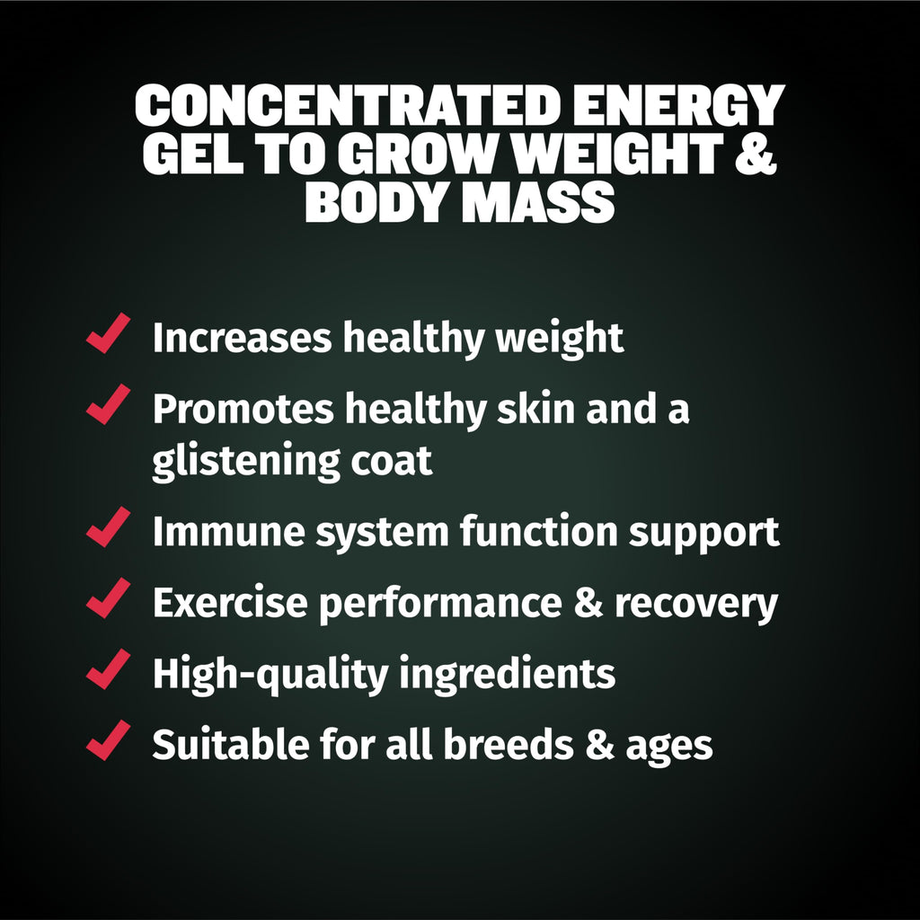 High Protein Beef Dog Food 15 lbs. Weight Gainer Supplement Bundle X835142