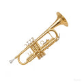 Bb Trumpet Brass Instrument with 7C Mouthpiece, Hard Case, Cleaning Kit S5043