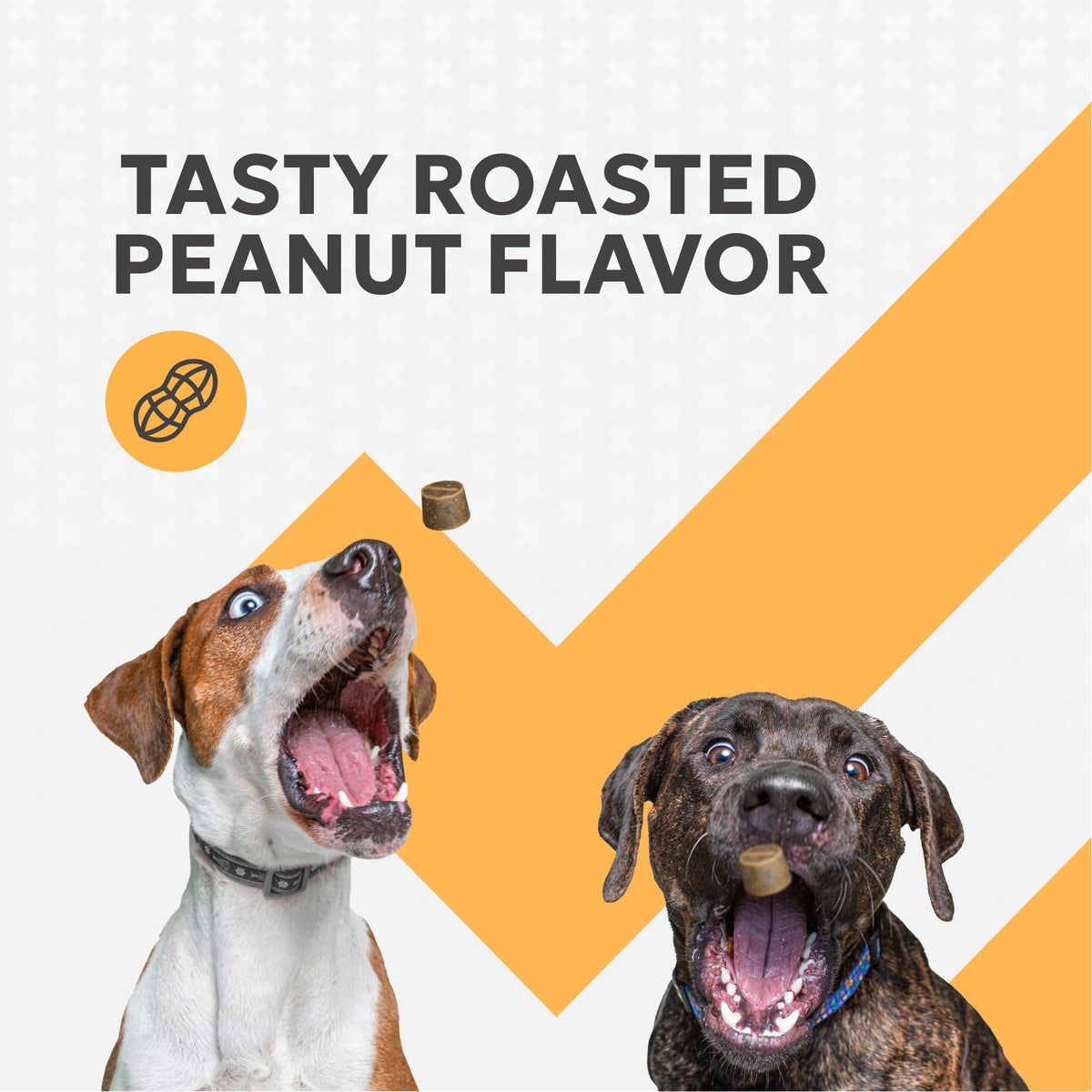 Soft Chews Supplement for Dogs 90ct G80976