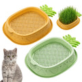 2 Pack Hydroponic Cat Grass Planter G94106