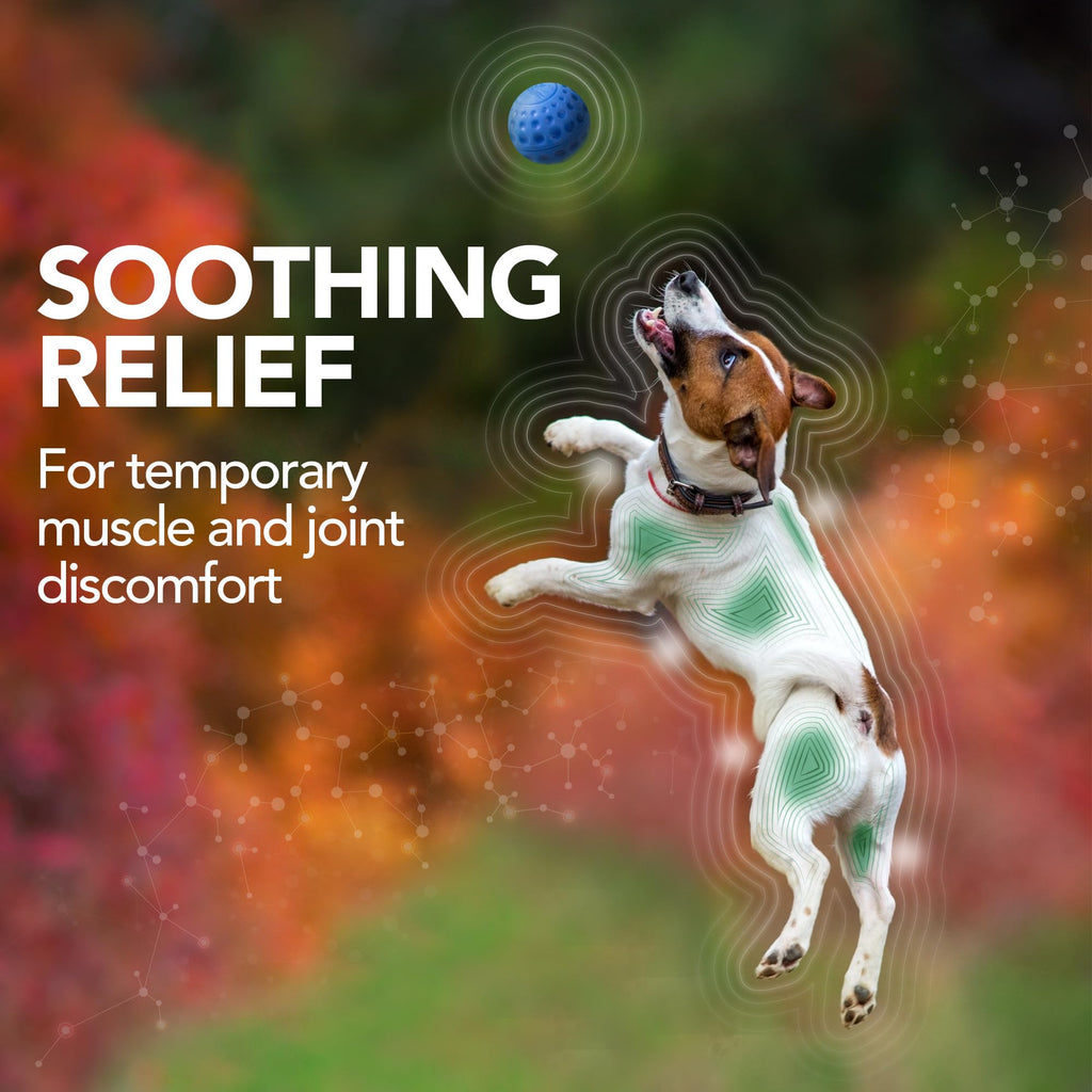 Dog Hip & Joint Support Tablets 150 Count Pack of 2 C96788