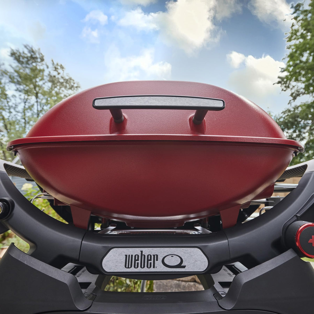 Portable Propane Grill V291