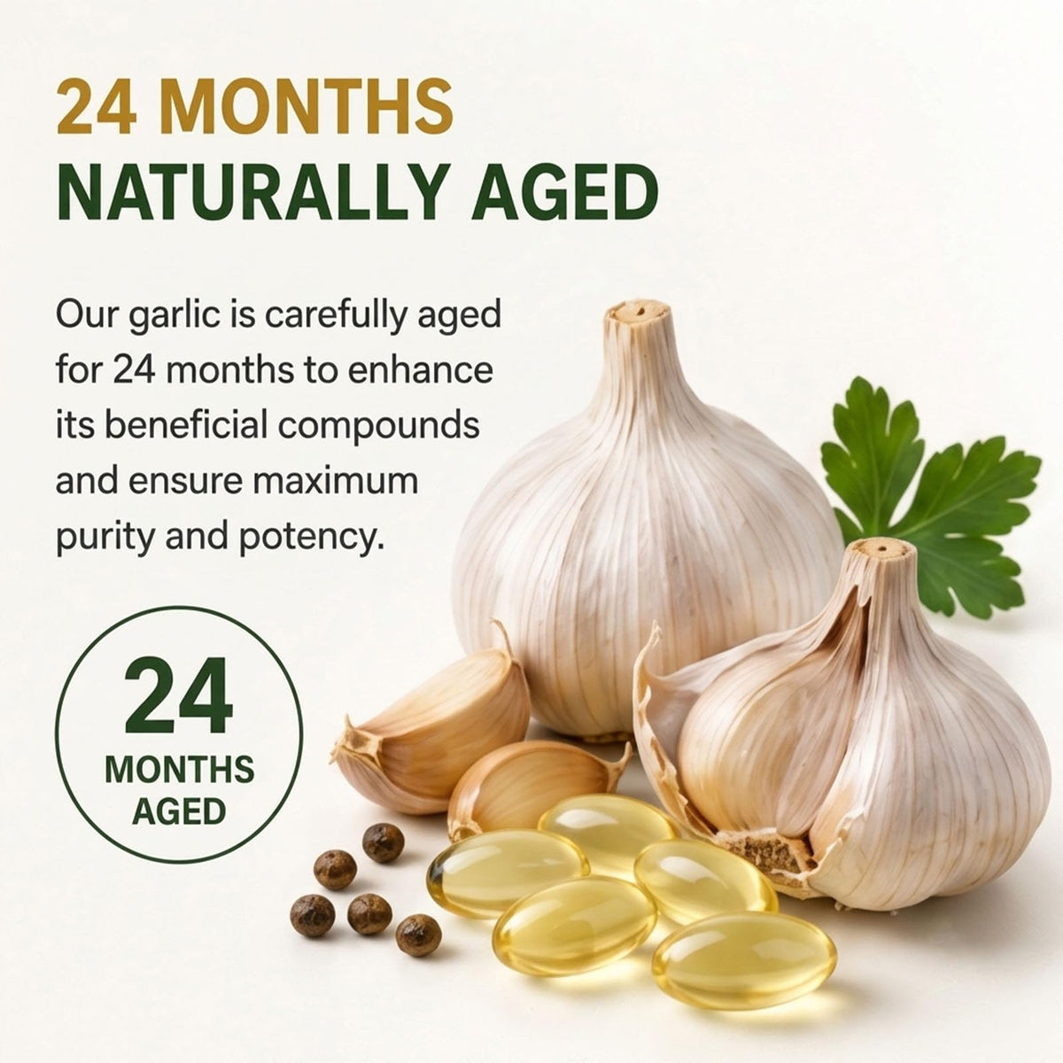 Odorless Aged Garlic Extract Supplement, 300 Softgels N73674