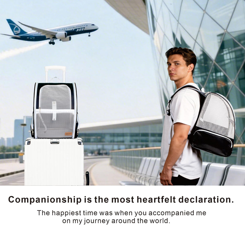 Large Breathable Pet Backpack Z531908