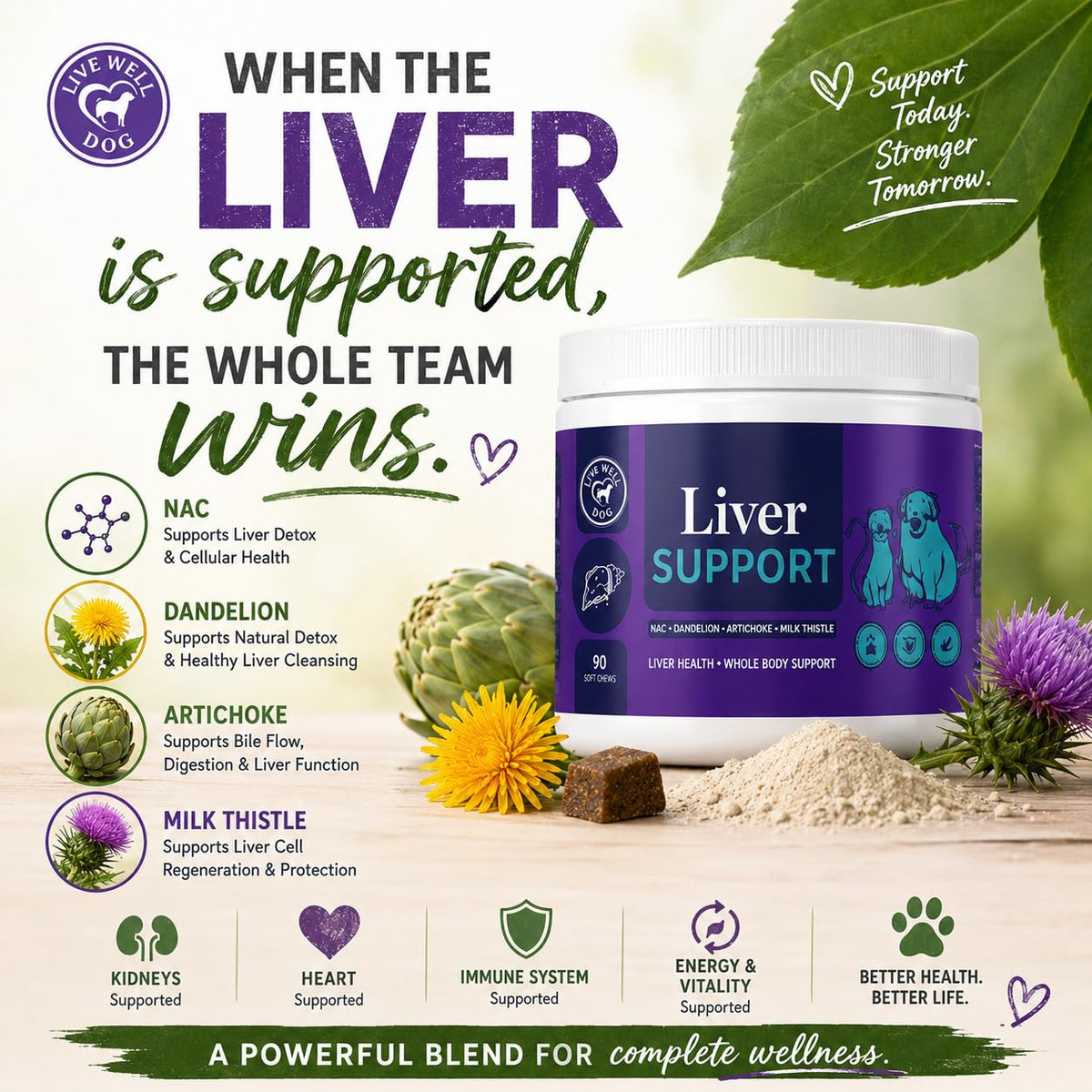 Liver Support Powder 6.35 oz E72805