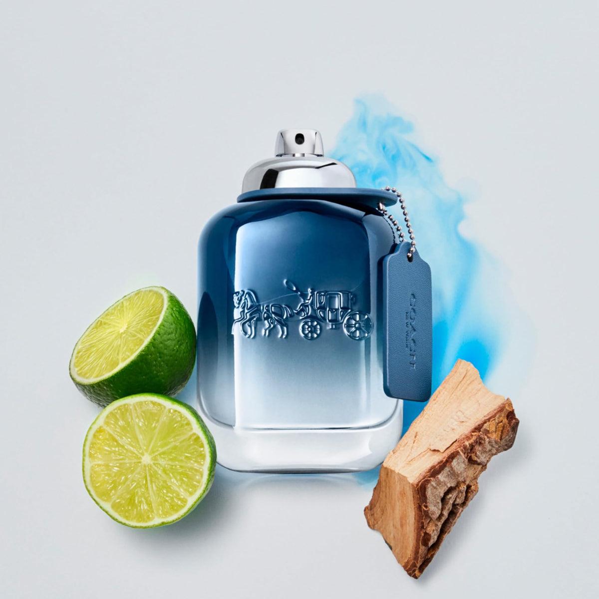 Blue Eau de Toilette Men's Fragrance R58427