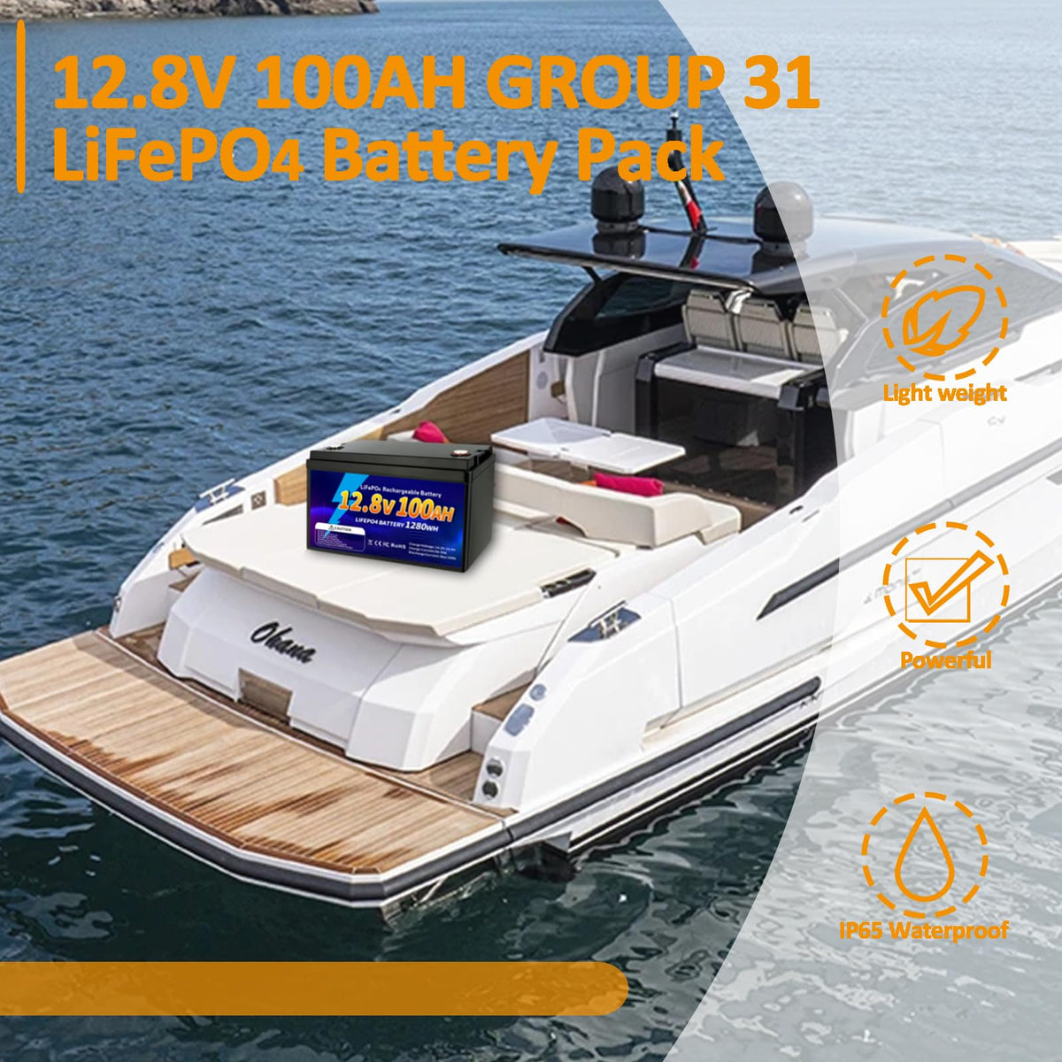 12V 100Ah LiFePO4 Battery O5553