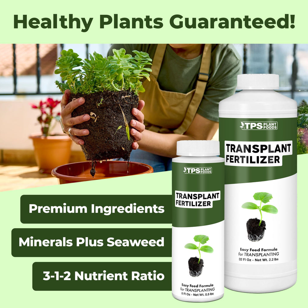 Liquid Plant Food 8 oz O692232