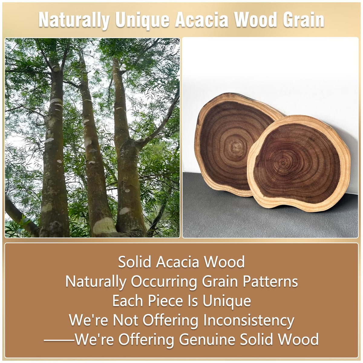 Acacia Wood Corner Bread Box H3965