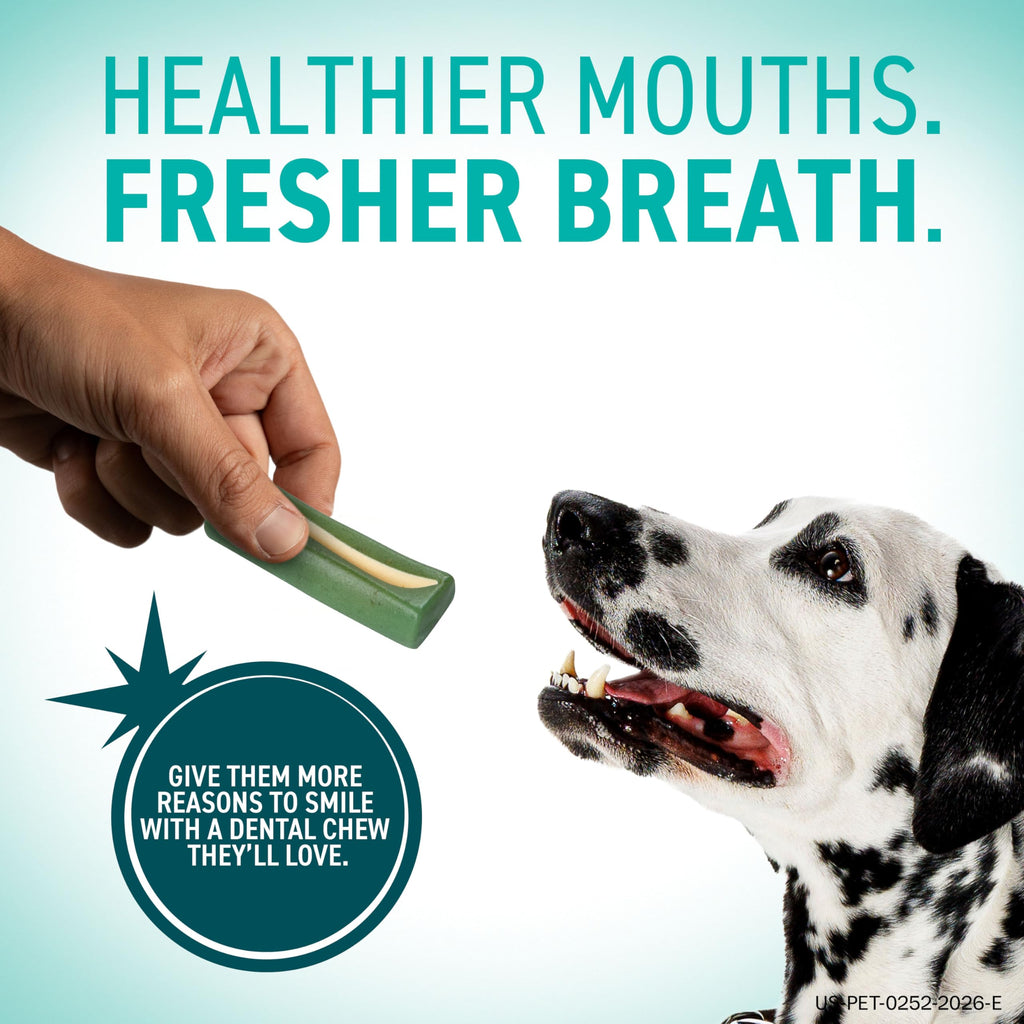 Dental Chews for Dogs 30 Count U709