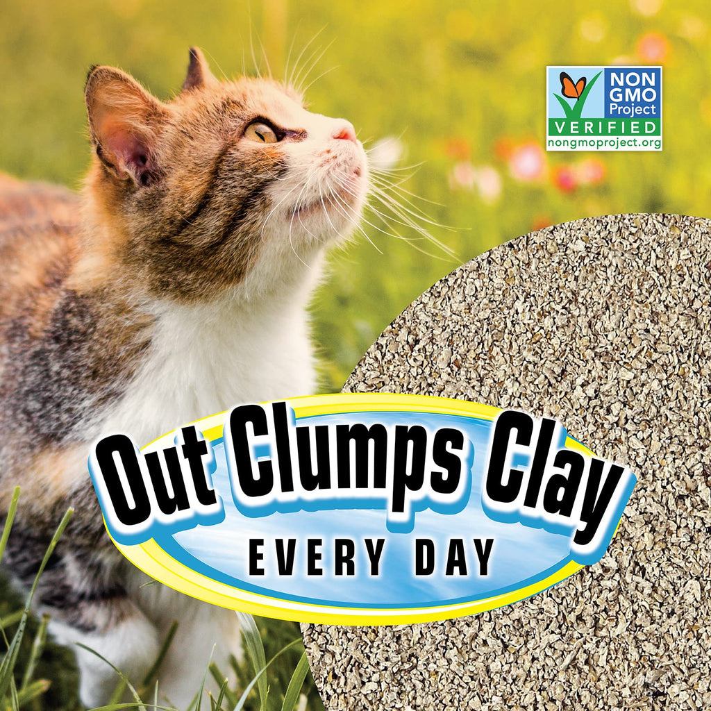 All Natural Clumping Cat Litter, 20 Pound, Unscented, Lightweight Q7126