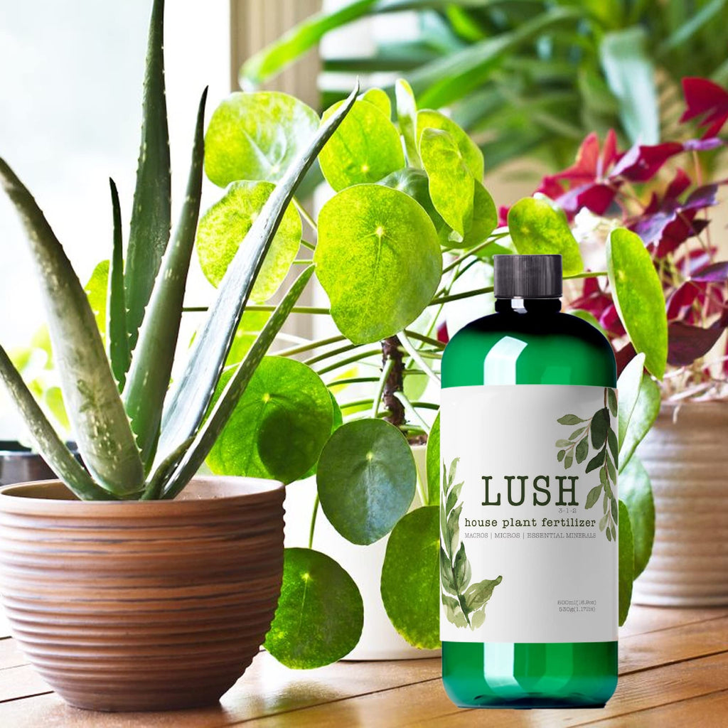 Houseplant Fertilizer O2512