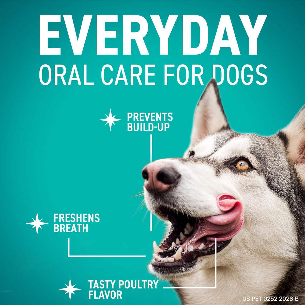 Dental Chews for Dogs 30 Count U709