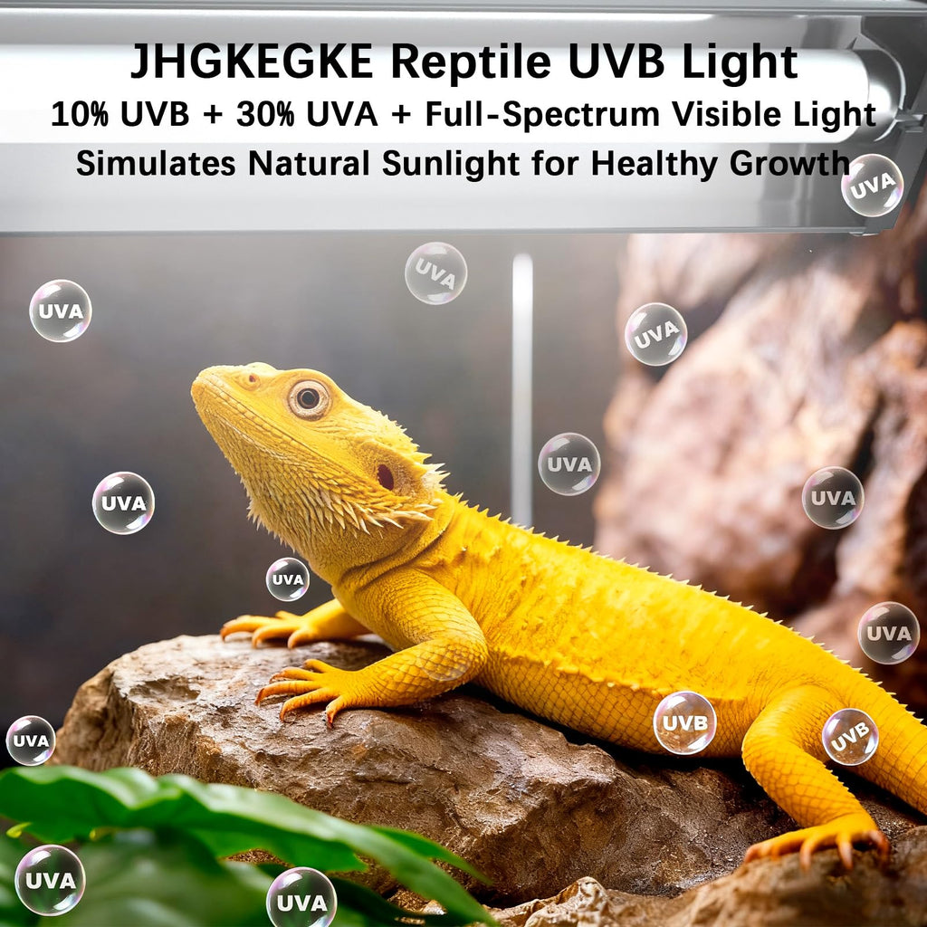 8W UVA UVB Reptile Light Fixture Combo Kit S29750