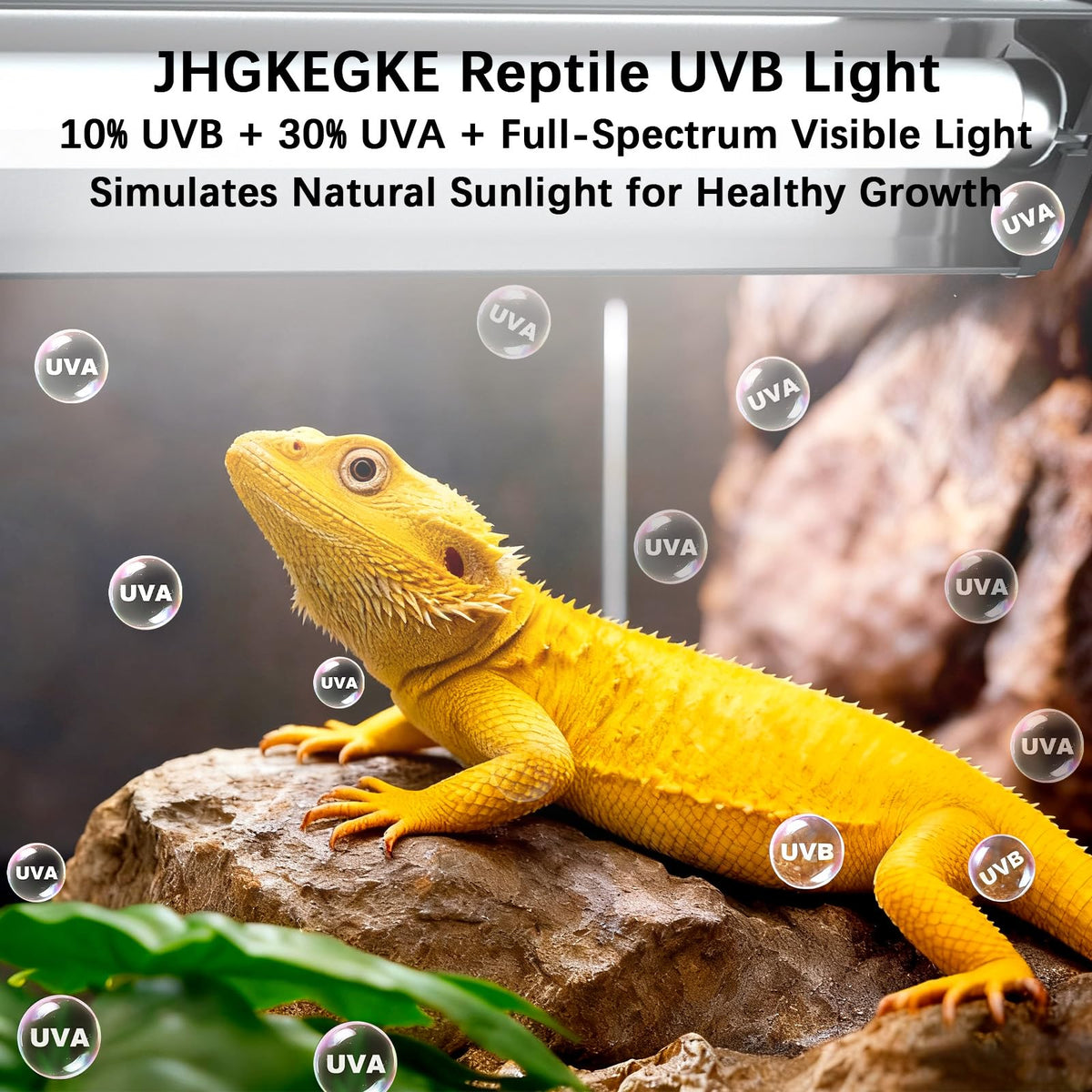 8W UVA UVB Reptile Light Fixture Combo Kit S29750