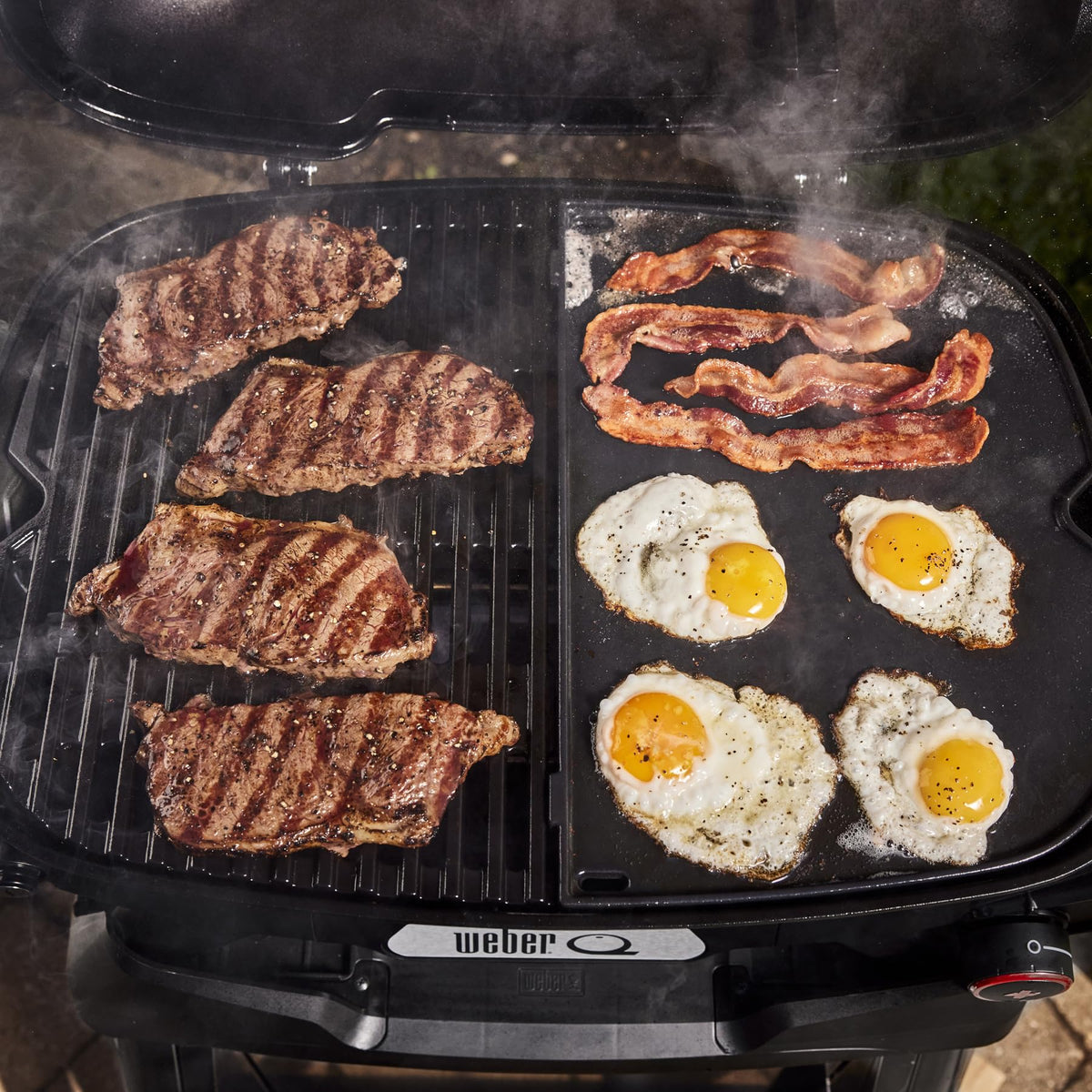 Portable Propane Grill V291