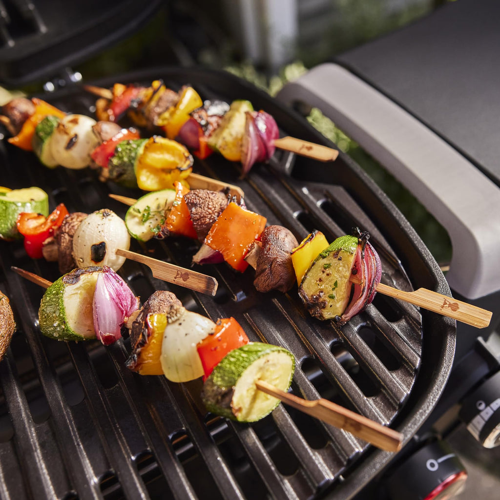 Portable Propane Grill V291
