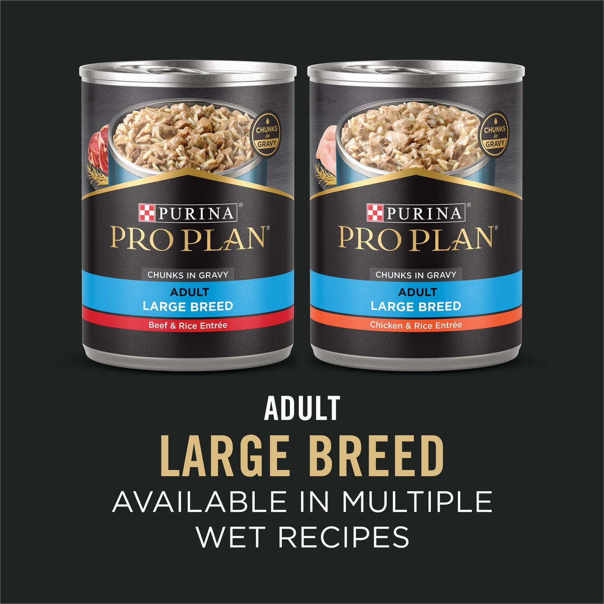 Chicken & Rice Large Breed Dry Dog Food 34 lb Bag C9331