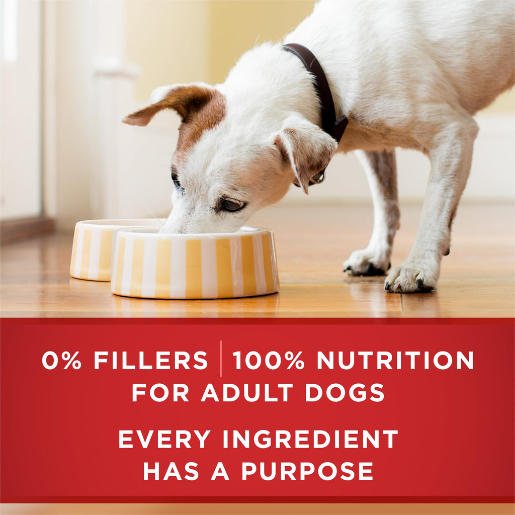 Wet Dog Food Variety Pack 6 13 oz Cans M9132