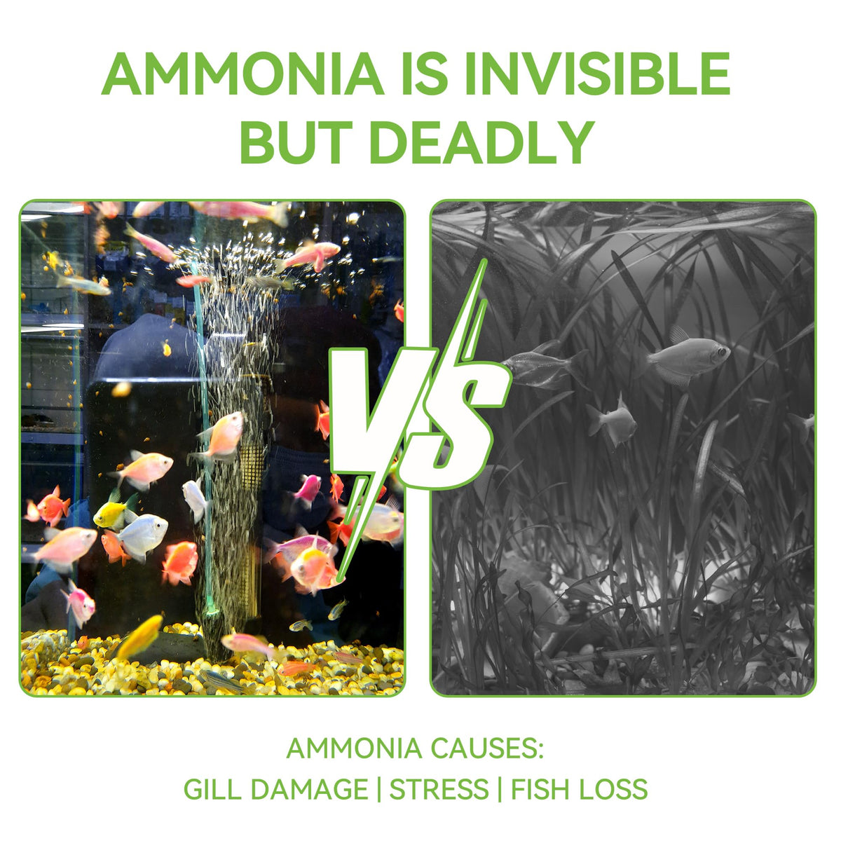 Ammonia Test Strips A4618