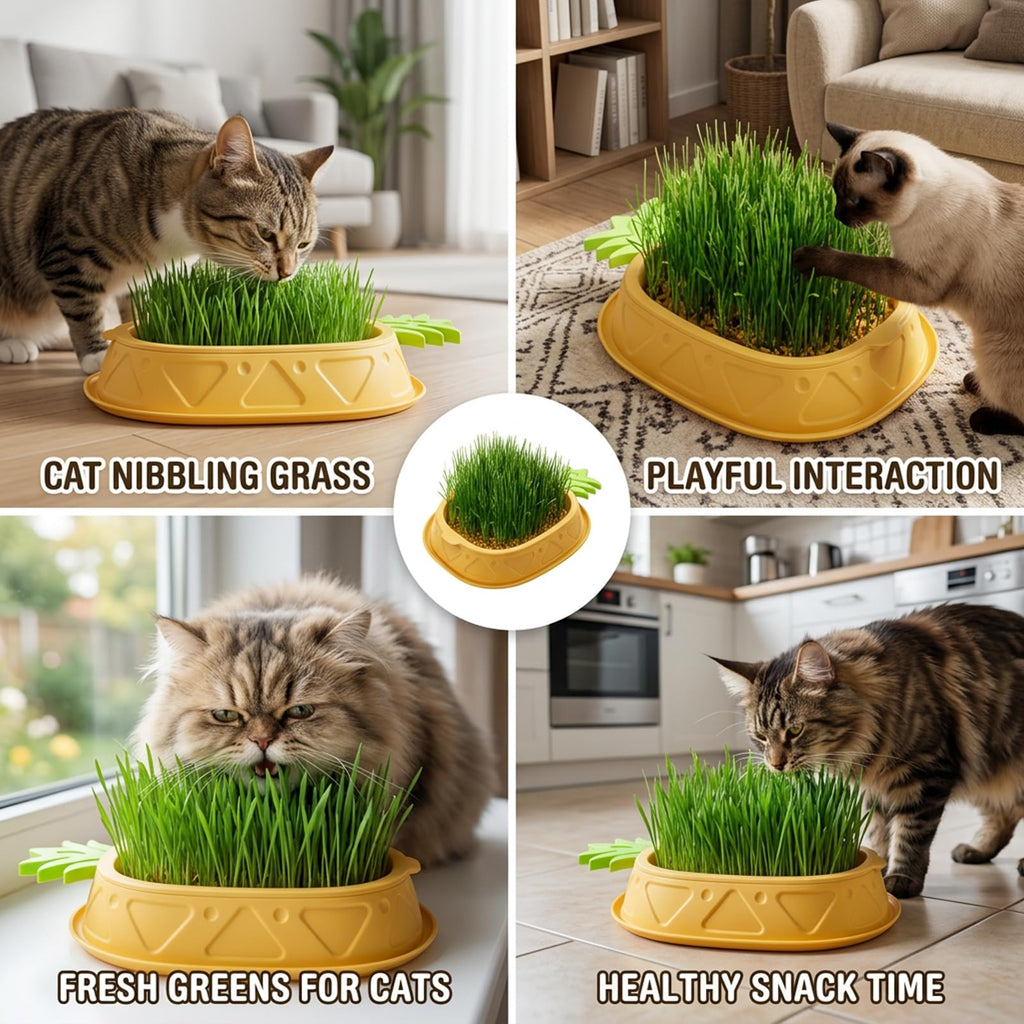 2 Pack Hydroponic Cat Grass Planter G94106