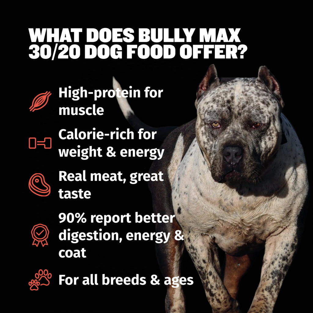 High Protein Beef Dog Food 15 lbs. Weight Gainer Supplement Bundle X835142