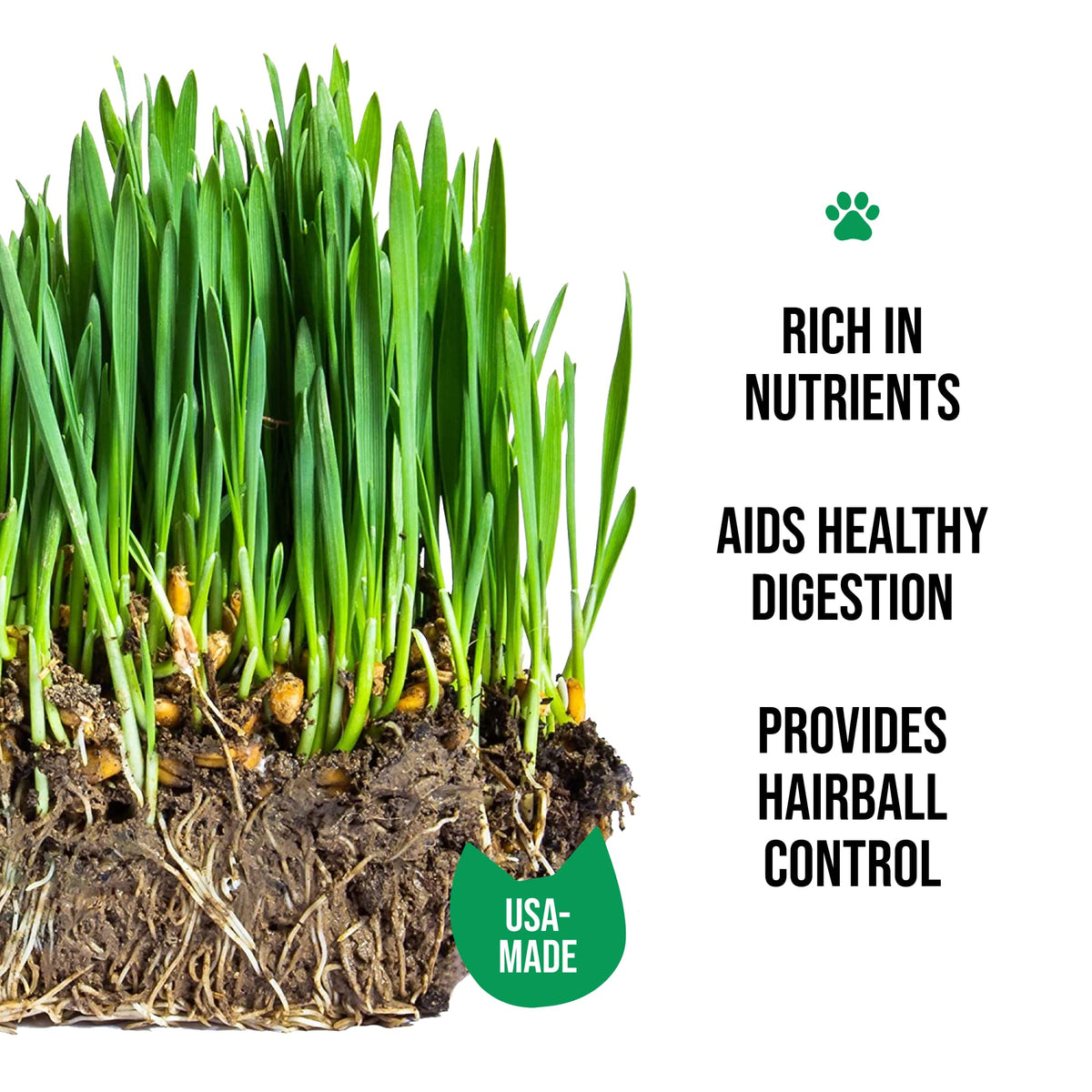 Organic Cat Grass Growing Kit with Seed Mix, Soil and Ceramic Planter B496965