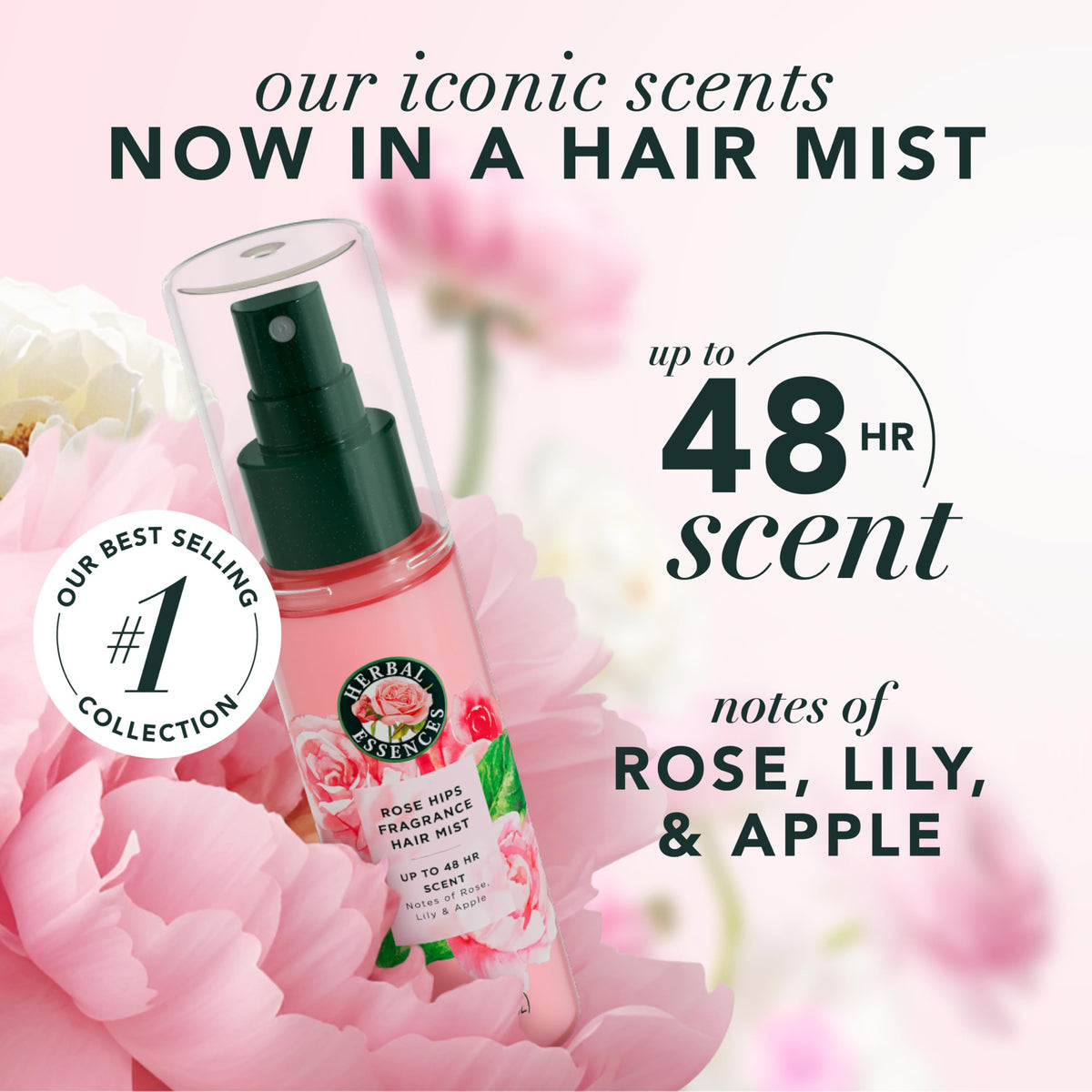 Rose Scent Hair Mist Fragrance Spray 3.2 fl oz C975